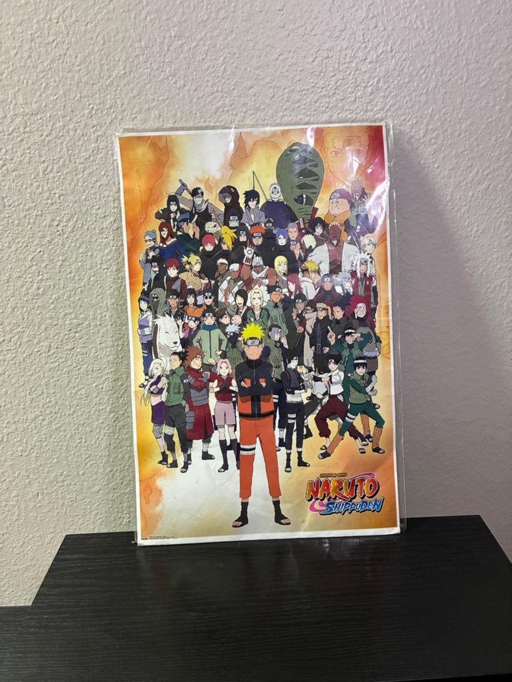 NARUTO SHIPPUDEN - ANIME / MANGA POSTER / PRINT (ALL CHARACTERS)
